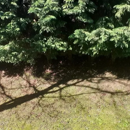 La Quintana Del Cuera 3* Parres de Llanes