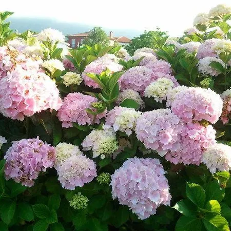 La Quintana Del Cuera فندق Parres de Llanes